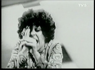 Show_thumb_tropicalia8