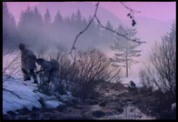Show_thumb_theravine4