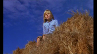 Show_thumb_summerfield1