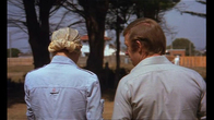 Show_thumb_summerfield3