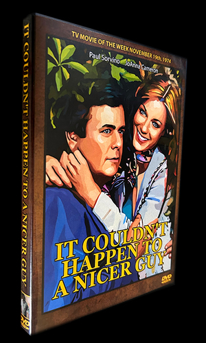 Large_itcouldnthappentoanicerguy2_dvdsleeve