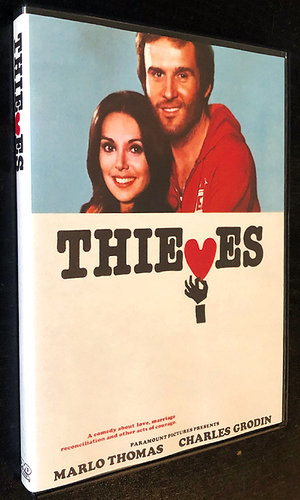 Large_dvd_thieves